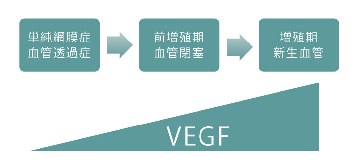 画像：VEGF阻害薬